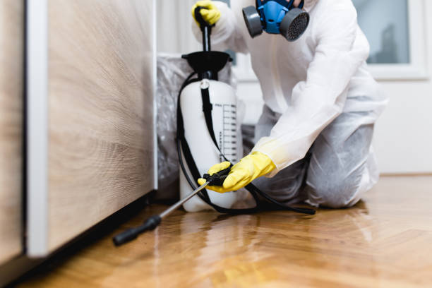 Best Best Pest Control Companies  in Albers, IL