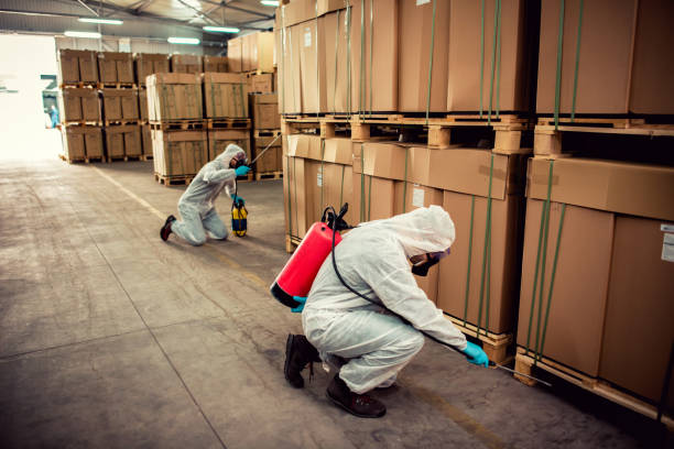 Wasp Removal Services in Albers, IL