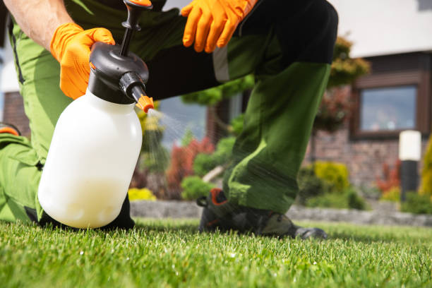 Best Pest Control Near Me  in Albers, IL