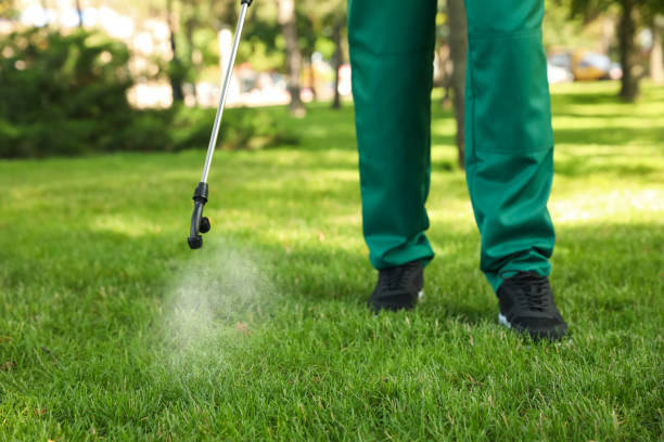 Best Pest Control for Restaurants  in Albers, IL