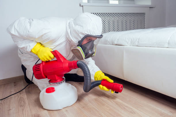 Best Pest Control for Businesses  in Albers, IL