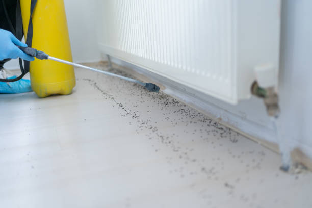 Best Best Pest Control Companies  in Albers, IL