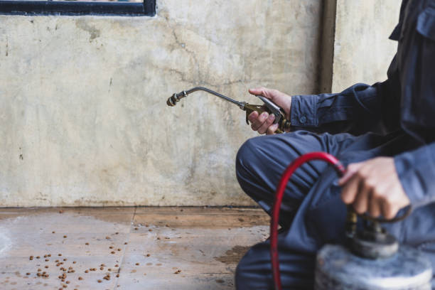 Best Rat Extermination Near Me  in Albers, IL