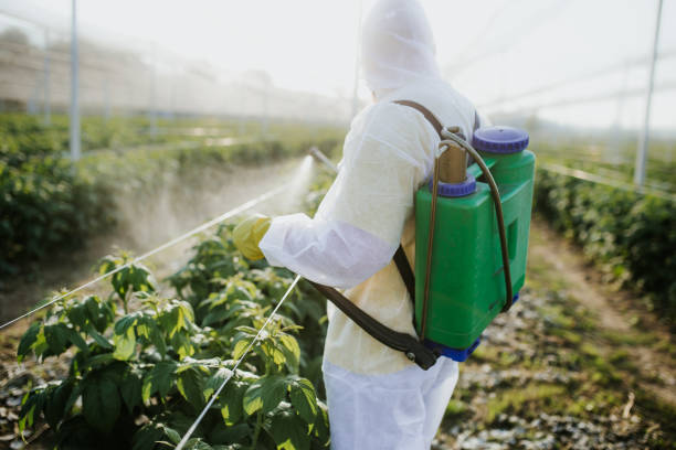 Pest Control Cost in Albers, IL